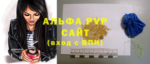 PSILOCYBIN Костерёво