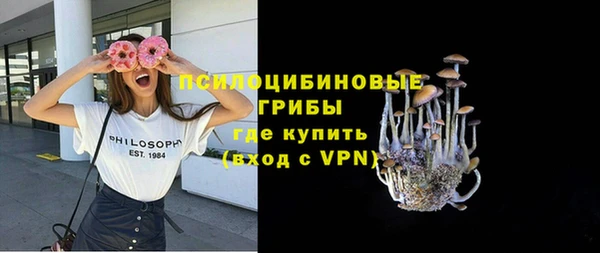 PSILOCYBIN Костерёво