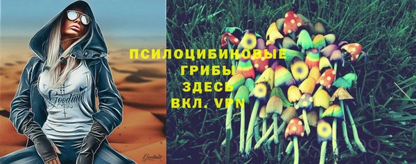 mix Корсаков