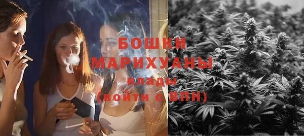 соль ск Краснослободск