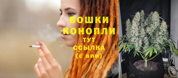 PSILOCYBIN Костерёво