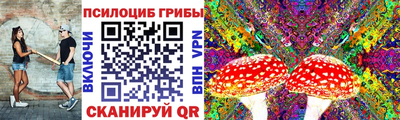 Купить где  Белая Калитва  Галлюциногенные грибы мицелий 